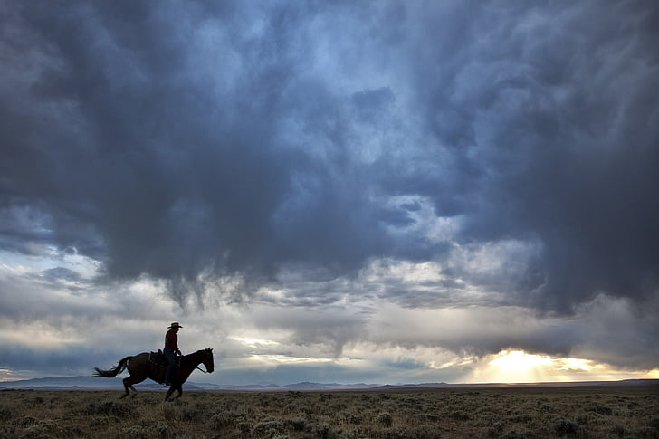 cowboy, horseback, riding, west, horse, silhouette, landscape