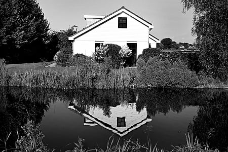 architecture, black-and-white, bungalow, grass, house, lake, placid