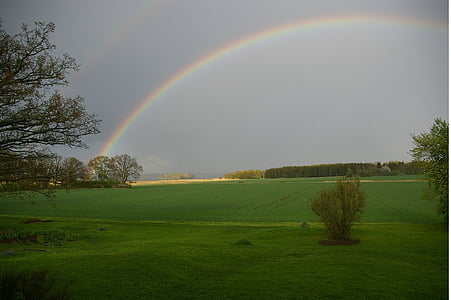 rainbow, hope, energy, tax, bro, positive