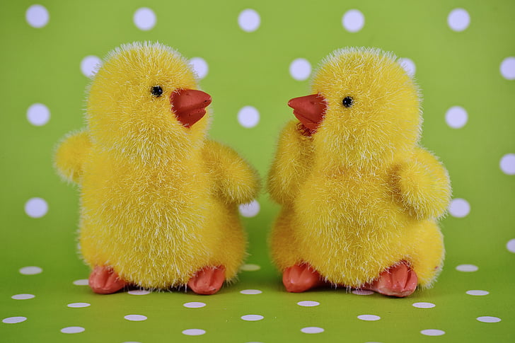chicks, easter, cute, decoration, easter theme, sweet, deco
