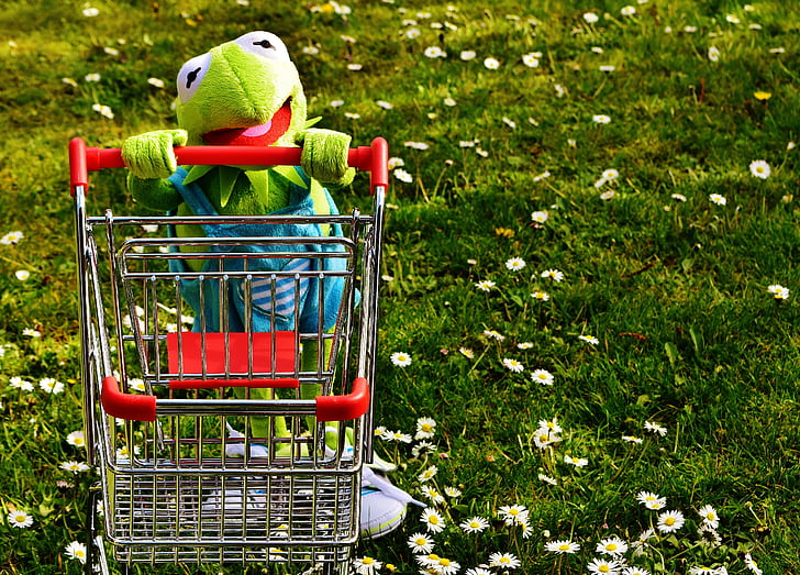Kermit, granota, compres, cistella de la compra, diversió, joguina suau, animal de peluix