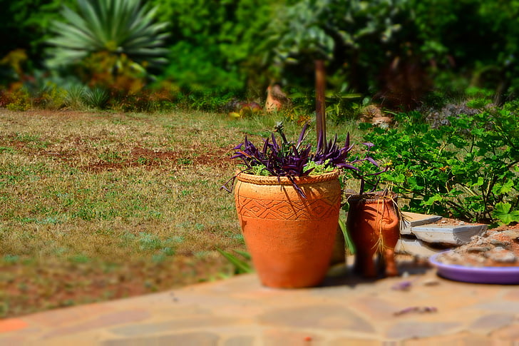haven, Flower pot, Gartner, udendørs