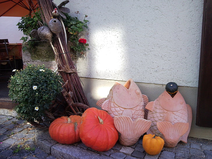 thrown fish, pumpkin, decoration, fish, hauswand, ulm, autumn
