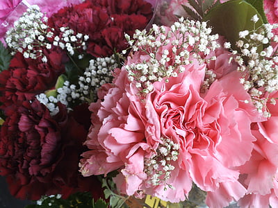pink, red, bouquet, flower, flowers, rose, roses