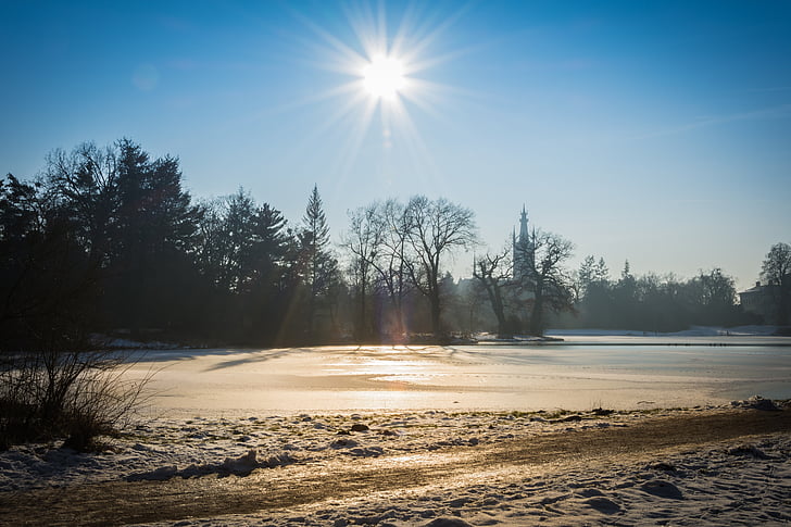l'hivern, Parc, Parc wörlitz, fred, neu, arbres, paisatge