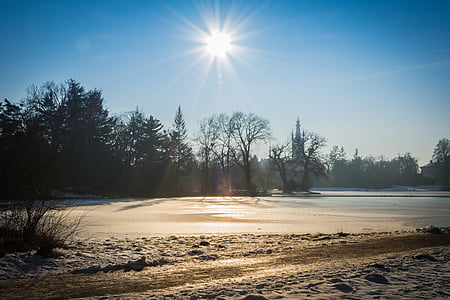invierno, Parque, Parque wörlitz, frío, nieve, árboles, paisaje