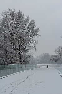 l'hivern, distància, blanc, neu, arbres, natura, fred