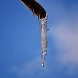 ice, icicle, cold, frozen, winter, frost, dew
