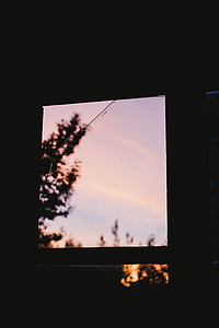 tối, Phòng, cửa sổ, thủy tinh, bên ngoài, Xem, cây