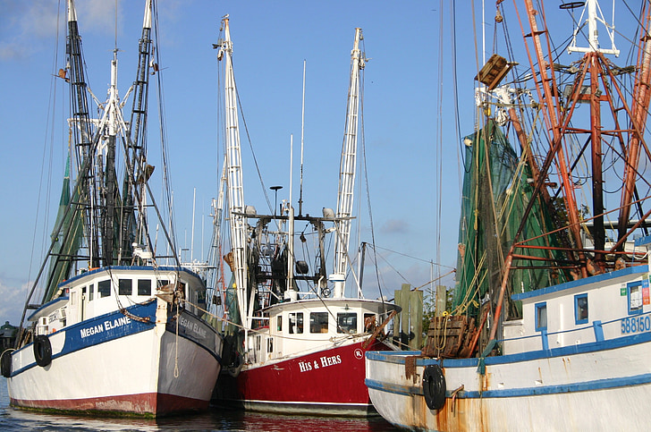 shrimp, boats, coast, shrimping, fishing, dock, seafood