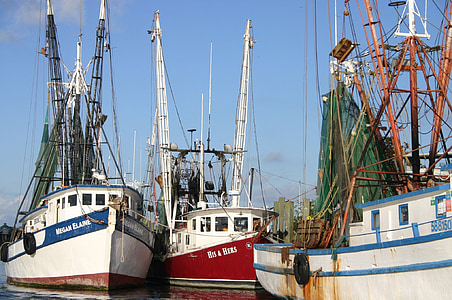 gamberetti, Barche, Costa, pesca di gamberi, pesca, Dock, frutti di mare