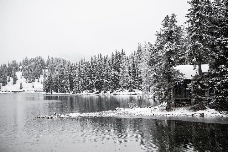 lake misurina, snow, christmas, mountain, green, fir, ice