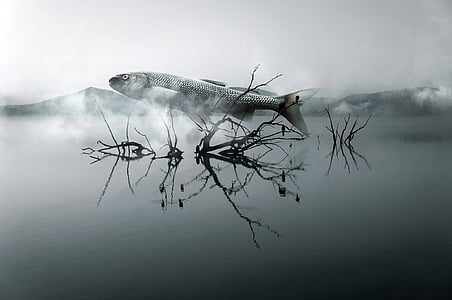 vis, rivier, hout, wolk, surrealistisch, droom, structuur