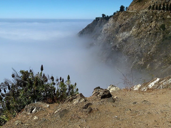 California, bờ biển, Hoa Kỳ, đá, nước, sương mù