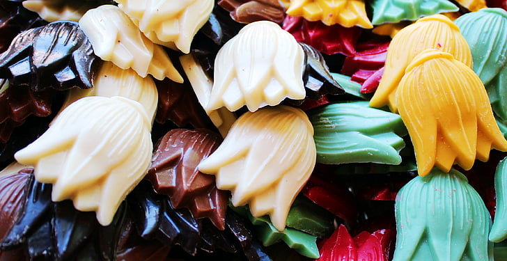 Tulipaner, chokolade, farverige, mange, slik, natur, close-up