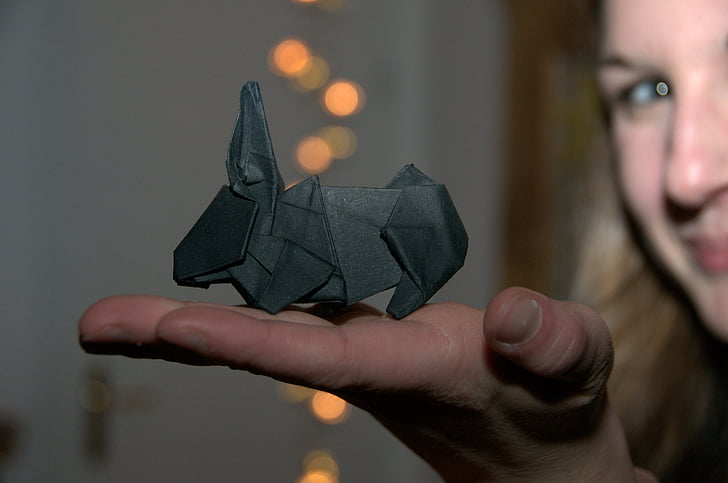 Origami, lapin, papier, pli, main, lièvre, noir