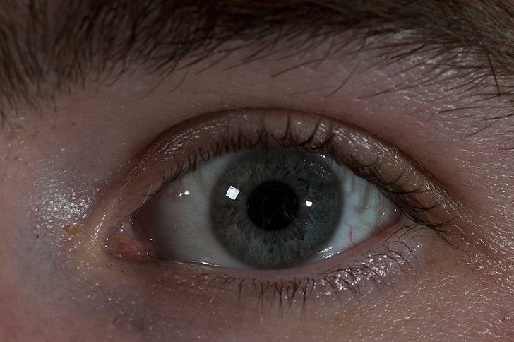 olho, globo ocular, close-up, Visão, Visão, humana, Branco