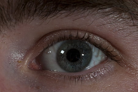 szem, szemgolyó, közelről, Vision, látás, emberi, fehér