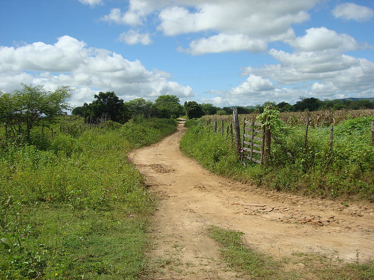 дорога, сільських, uiraúna-pb
