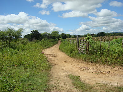strada, rurale, Uiraúna-pb