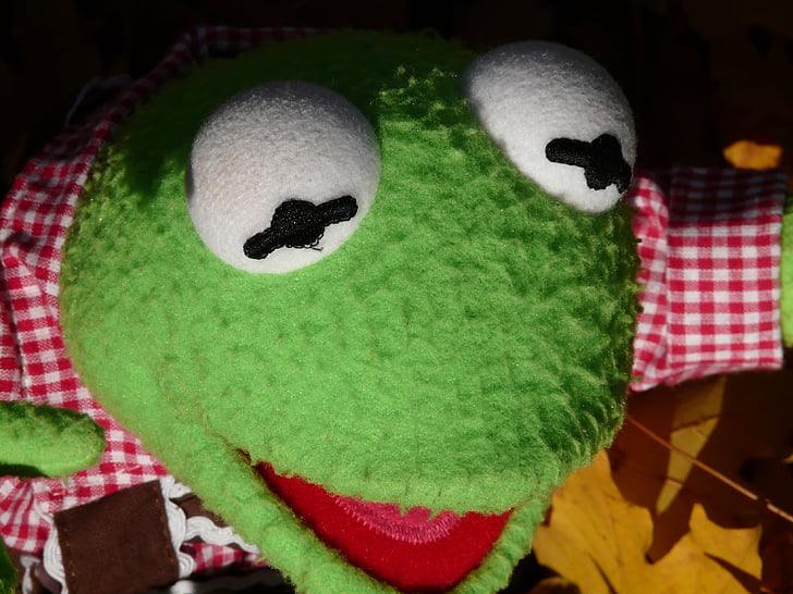 Kermit, màu xanh lá cây, ếch, búp bê, con số, đôi mắt, Goggle