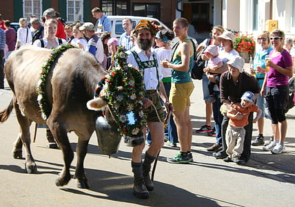 Альгау, Баварія, viehscheid, традиція, митний, Швейцарський Браун, корів