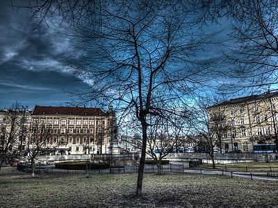 Kraków, träd, stadens centrum, HDR, Sky, mörka, radhus