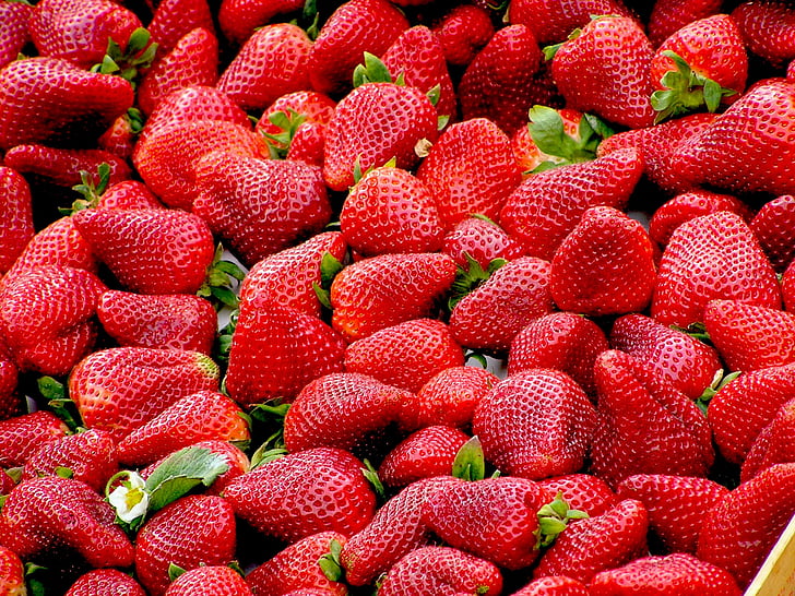 alimentaire, fruits, rouge, fraises