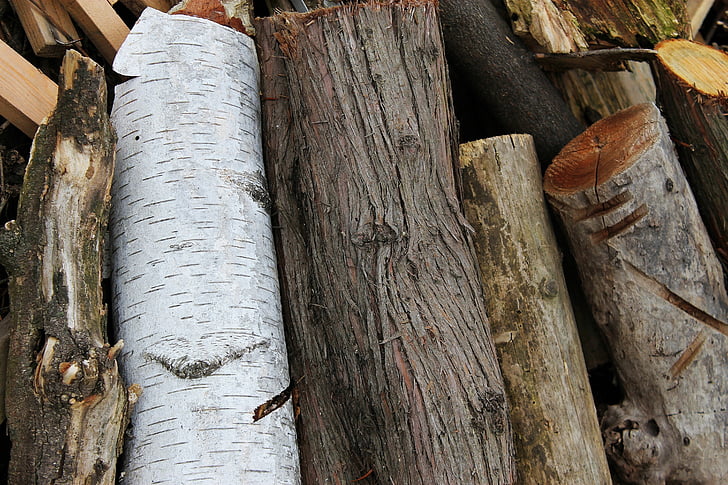 hout, stam, schors, Categorie:, bruin, hout - materiaal, boom