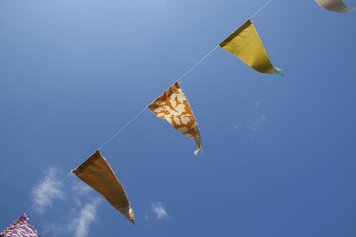 buntings, clear, blue, sky, daytime, still, items