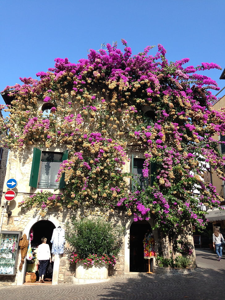 Sirmione, blomster, huset