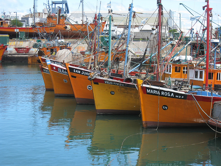 Mar del plata, Argentína, csónakok, hajó, halászati, dokkoló, tenger