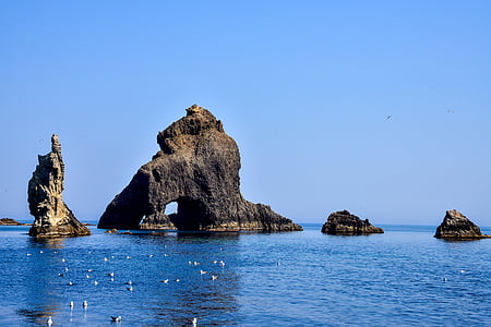 dokdo, Korea, ons grondgebied, Gyeongsangbuk-do, een prachtig eiland, 19, Seagull