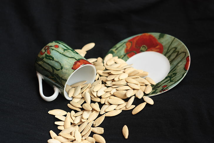 cup, saucer, sowing, food, seed, close-up