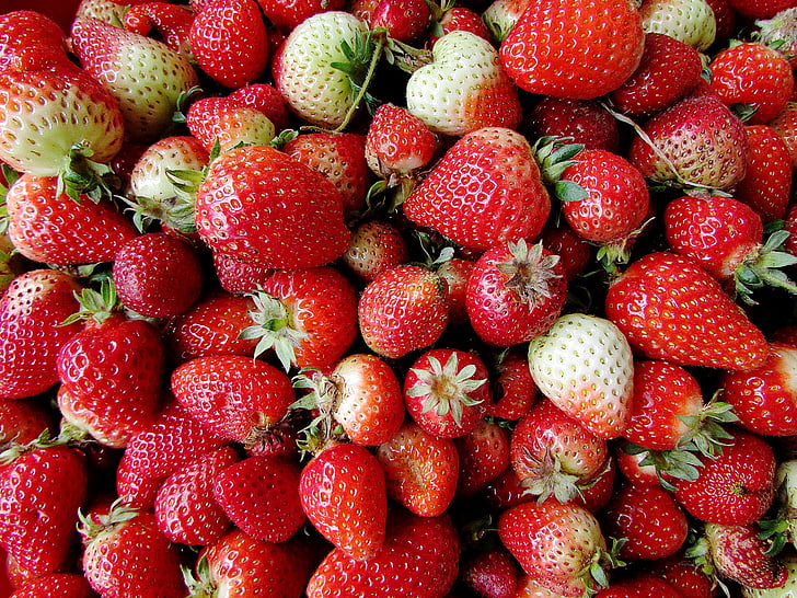 strawberries, fruit, red