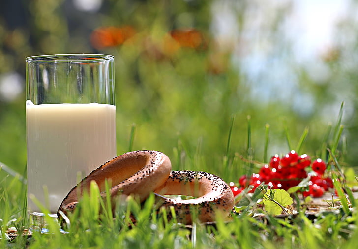 milk, glass, bread, grass, village, breakfast, use