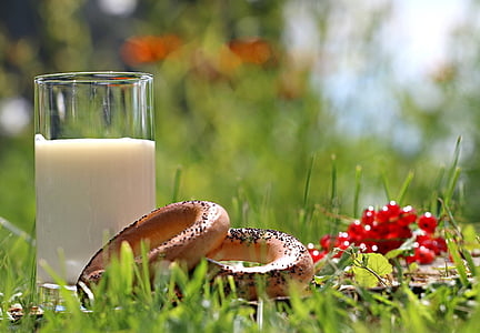 milk, glass, bread, grass, village, breakfast, use