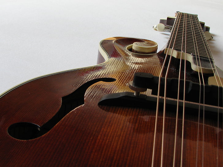 Mandolin, bluegrass mandolin, f mandolin, Yeşim mandolin, müzik, müzik aleti, Keman
