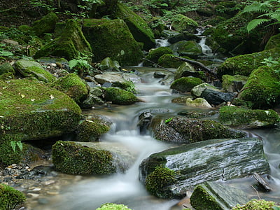 ruisseau, flux de données, moussu, pierres, roches, nature, eau