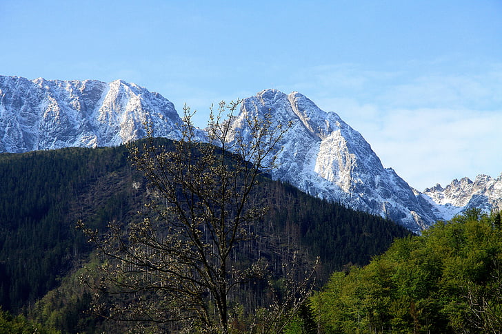 palaidotas, Gievonto, Tatrai, kalnų, Rodyti, vaizdas iš viršaus