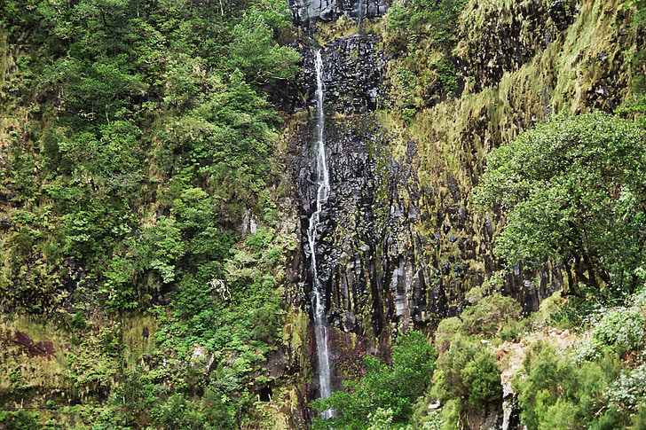 Madeira, cascada, terres altes, muntanyes, Cimera, duta, bosc d'eucaliptus