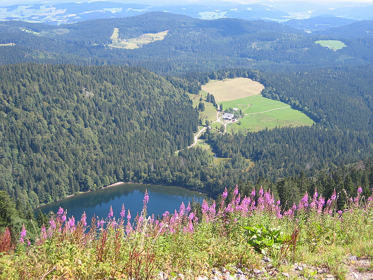 Se, Outlook, bred, langt, Schwarzwald, Feldberg, søen