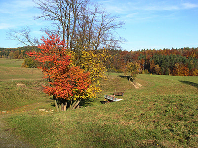 Есен, Селско стопанство, поле, полета