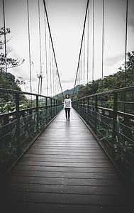 bridge, taiwan, waterfall, nature, bridge - man made structure, suspension bridge, one person