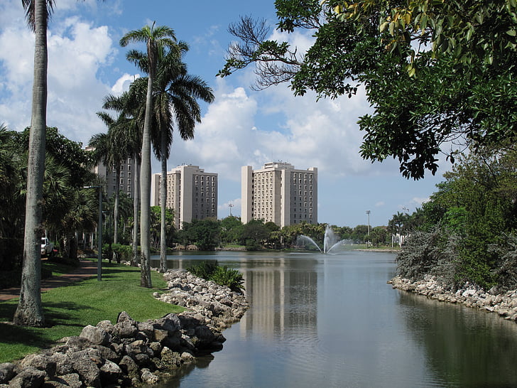 Universitetet, Coral kabel, Miami