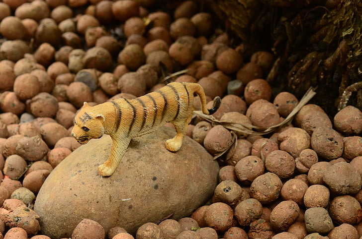 tigru, rock, pietre, natura, fundal, jucărie, din material plastic
