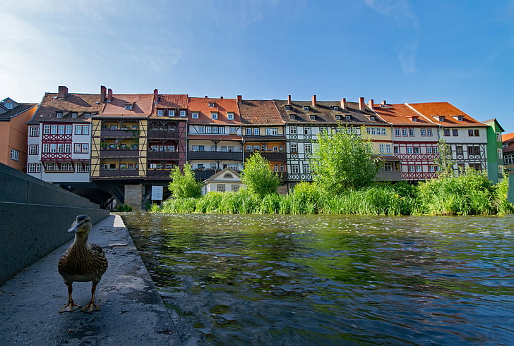 Chandler brug, Erfurt, Thüringen Duitsland, Duitsland, oude stad, oud gebouw, bezoekplaatsen