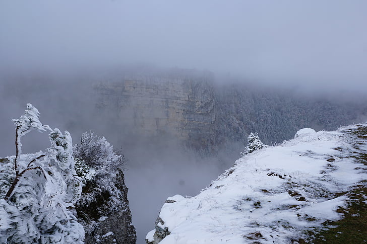 Nebel, Winter, Baum, Landschaft, Natur, Schnee, Cruix-du-van