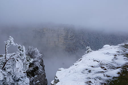 туман, Зима, дерево, пейзаж, Природа, снег, cruix дю Ван