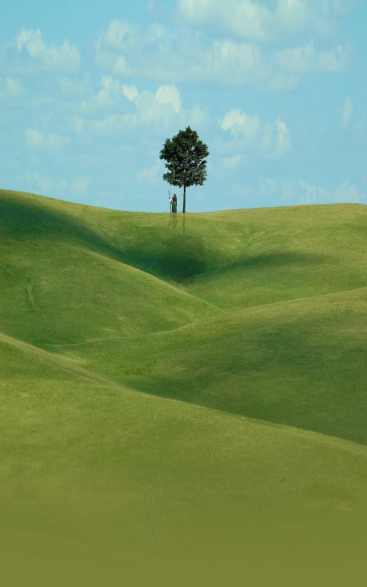 download, wallpaper, tree, grass, sky, village, landscape